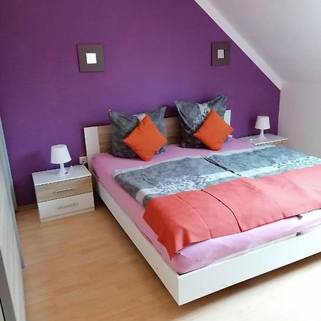 Ferienwohnung Mannes Lauingen エクステリア 写真