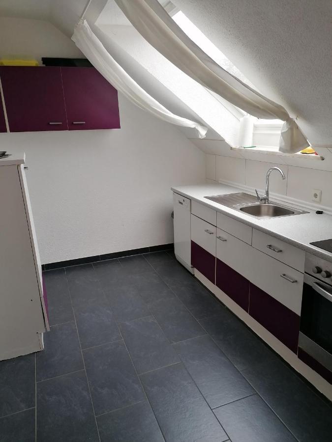 Ferienwohnung Mannes Lauingen エクステリア 写真